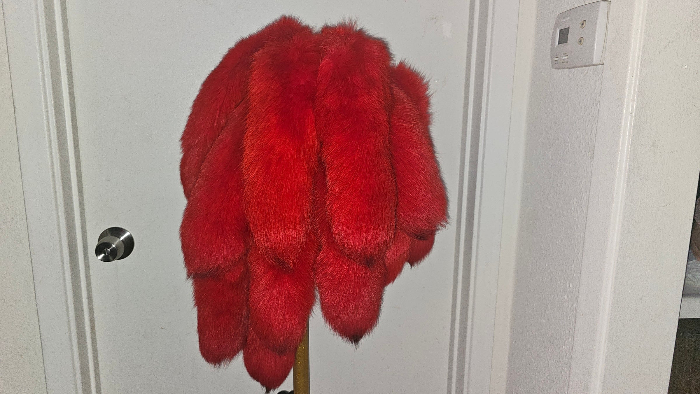 FOXTAILS