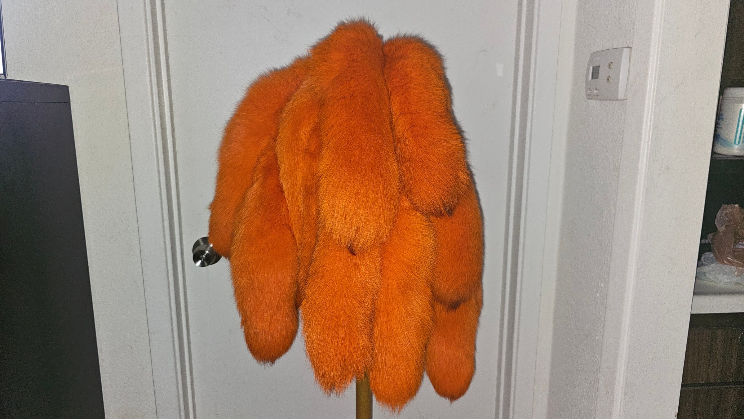 FOXTAILS