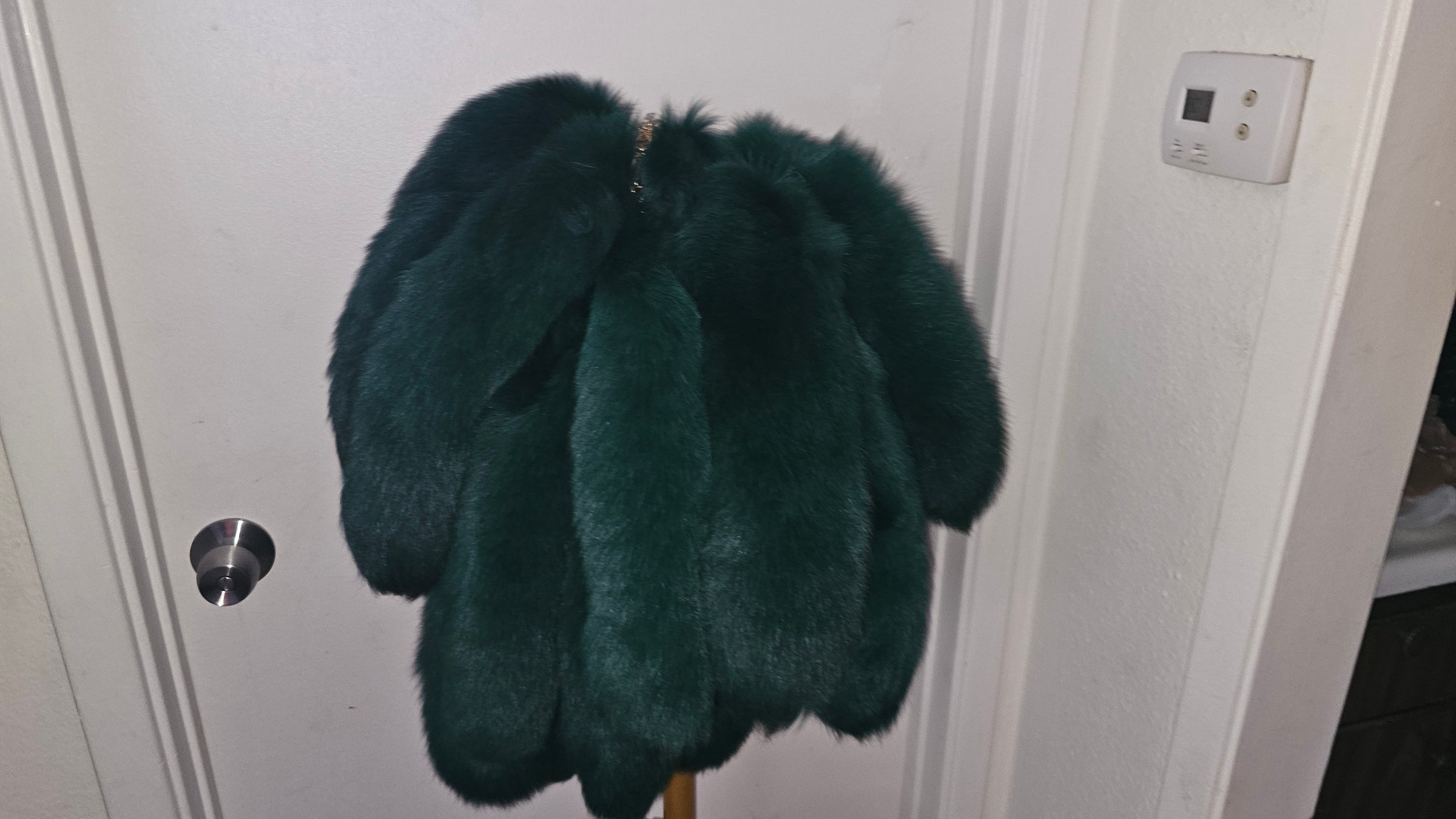 FOXTAILS
