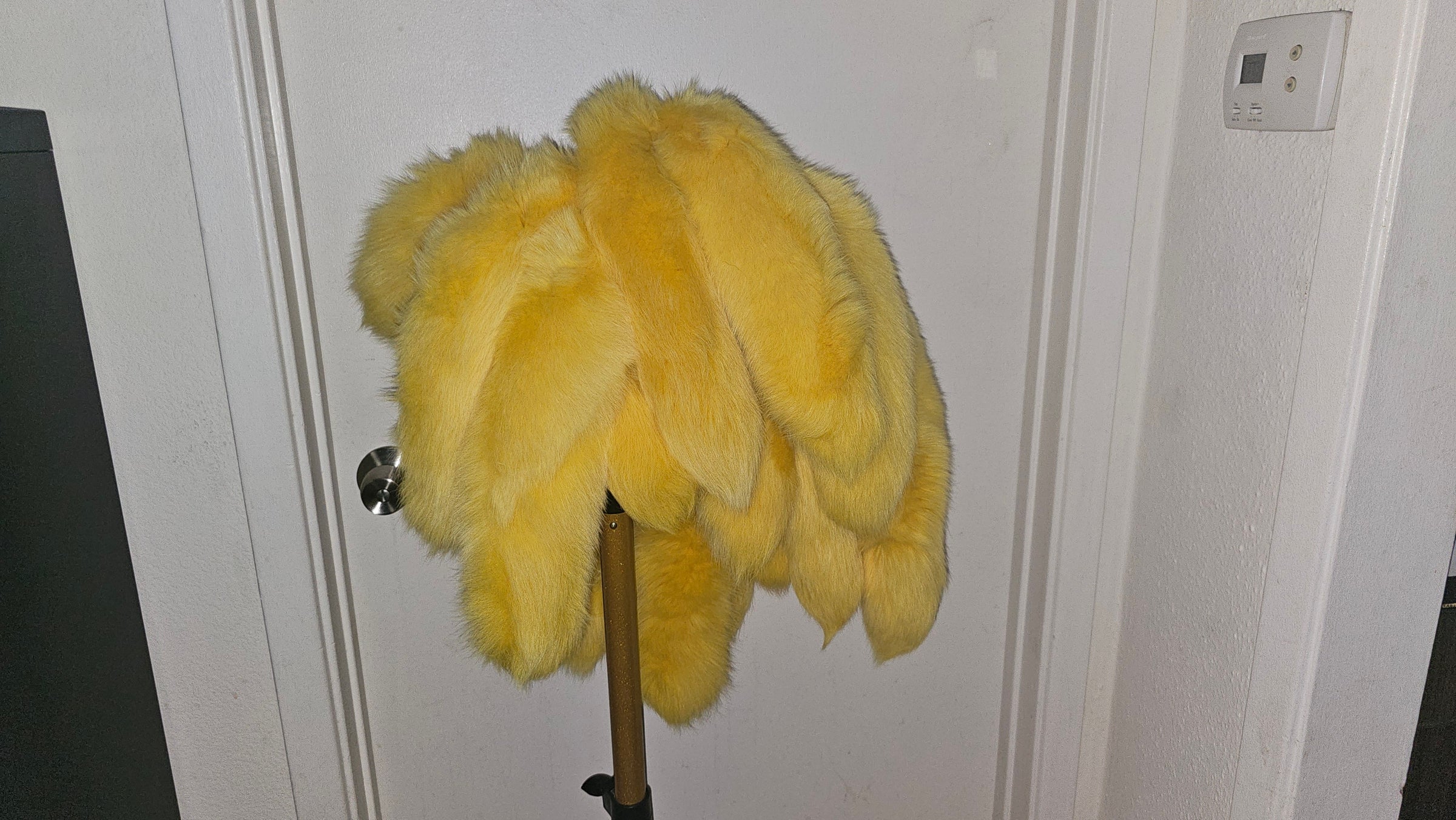 FOXTAILS