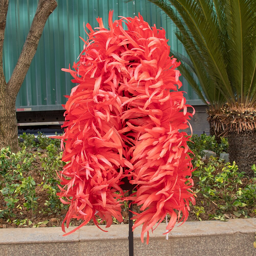 Coque Feather Boas