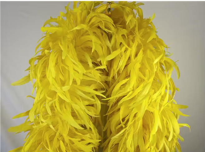 Coque Feather Boas
