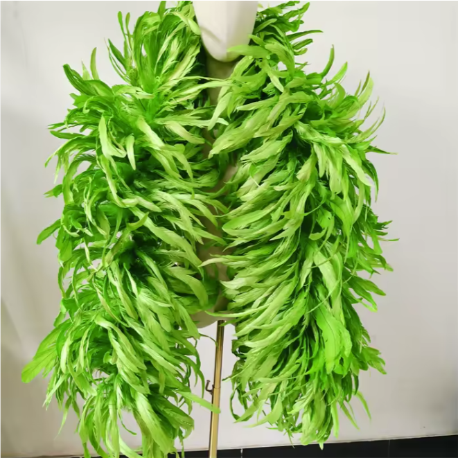 Coque Feather Boas