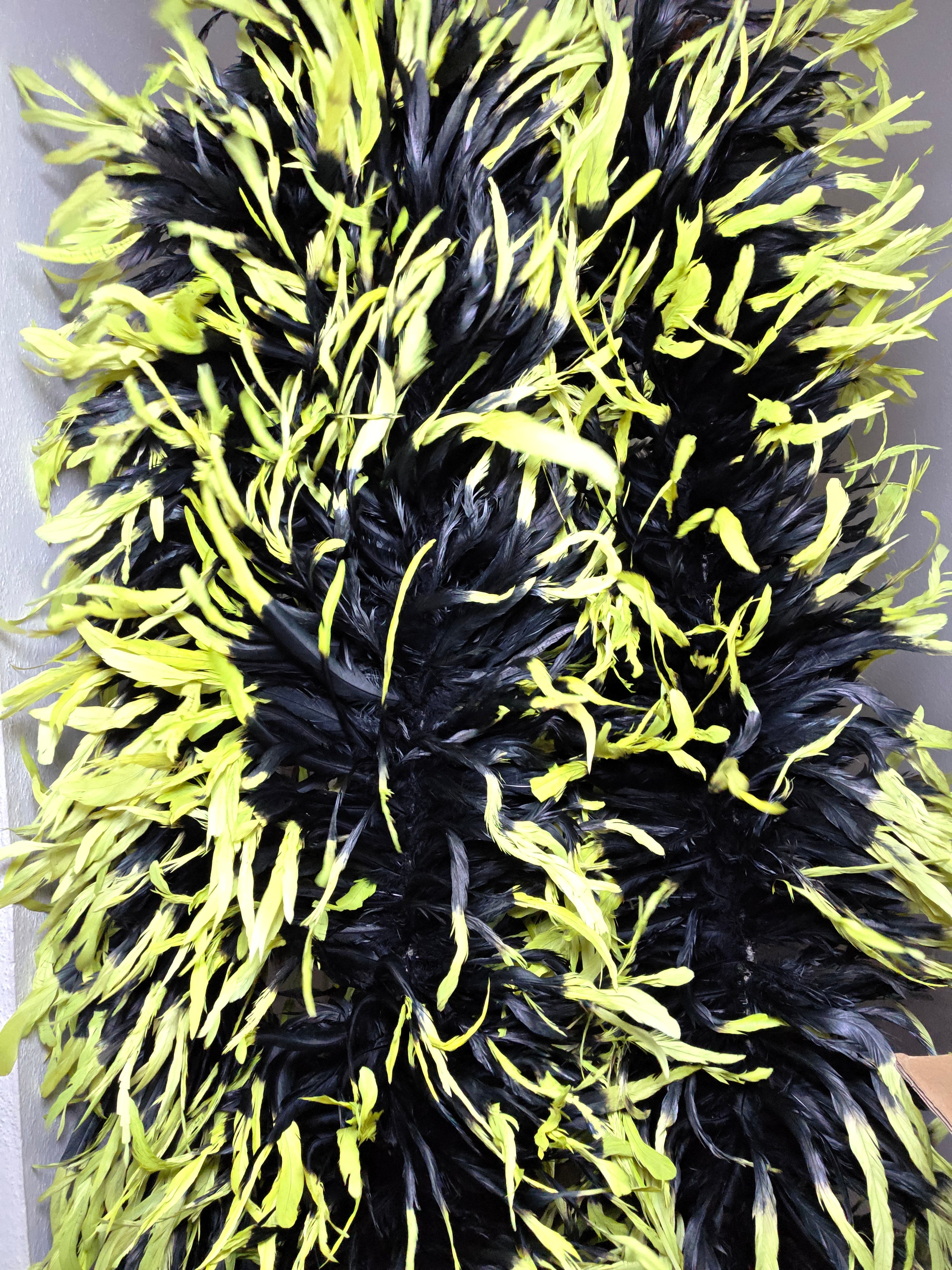 Coque Feather Boas