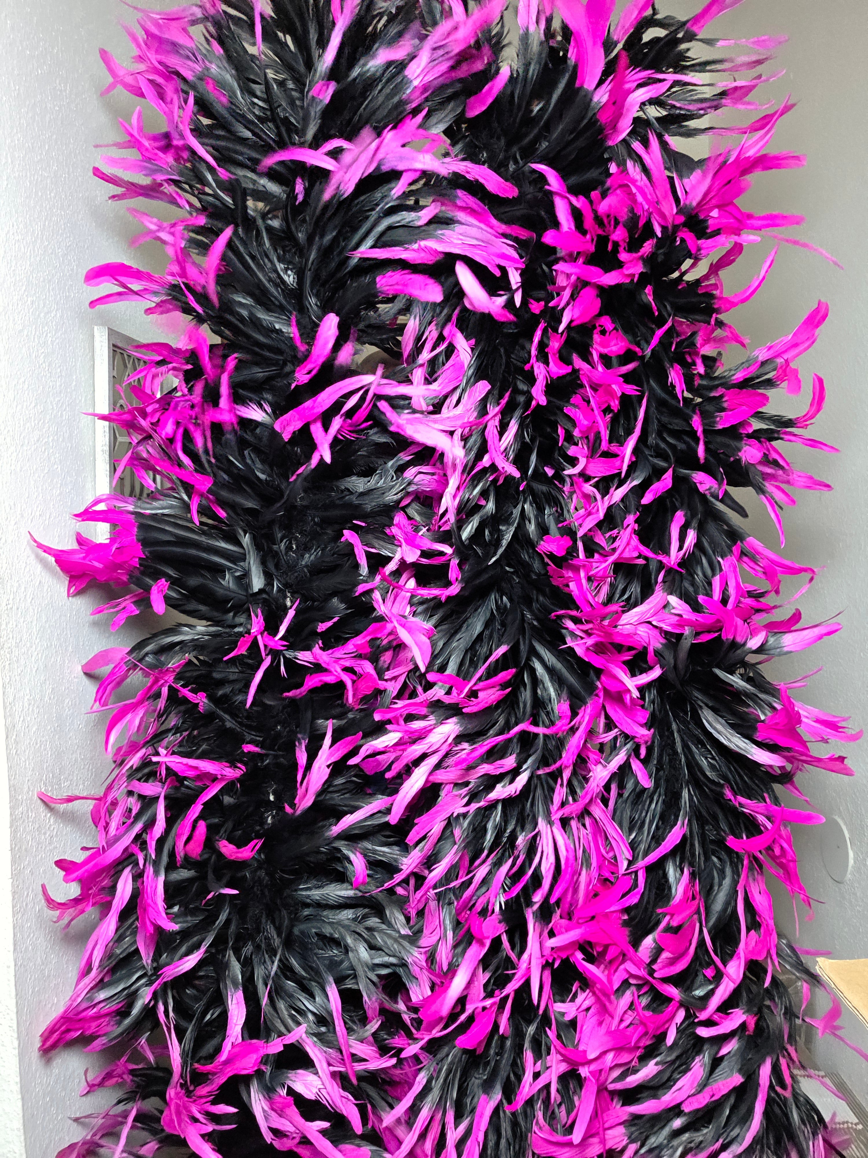 Coque Feather Boas