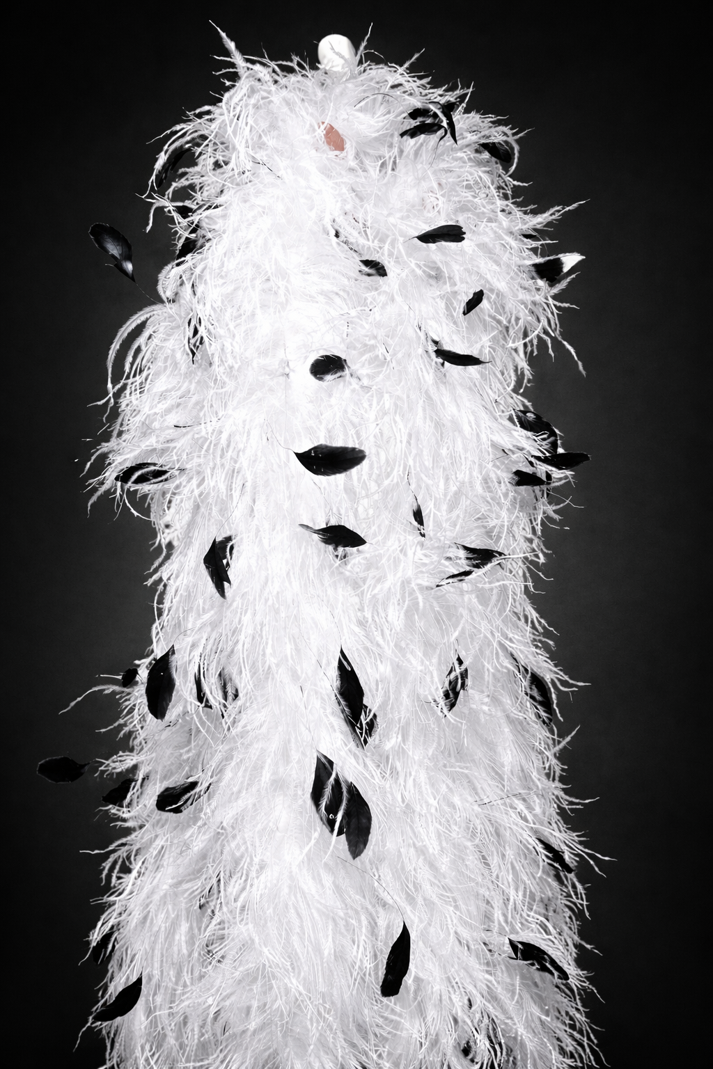 Premium ostrich feather boas