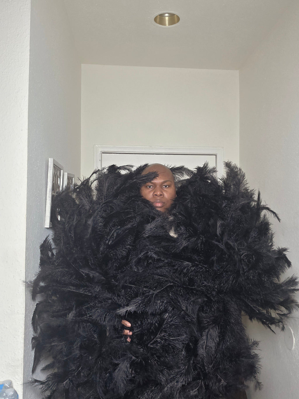 Full ostrich Plume Boas