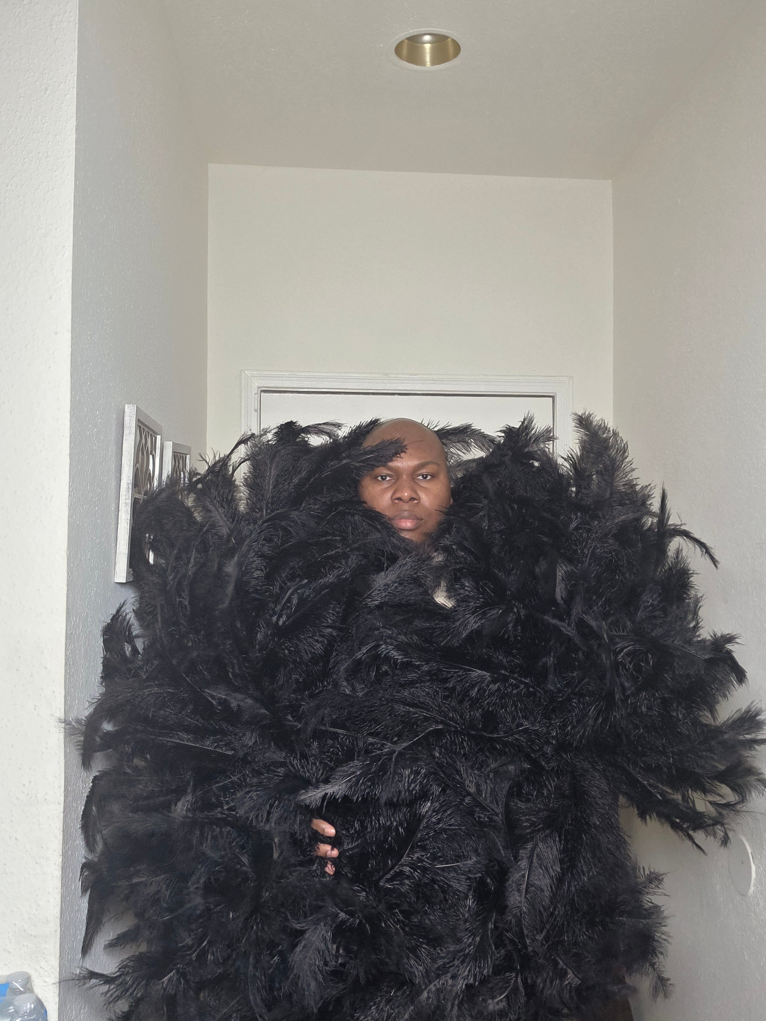 Full ostrich Plume Boas