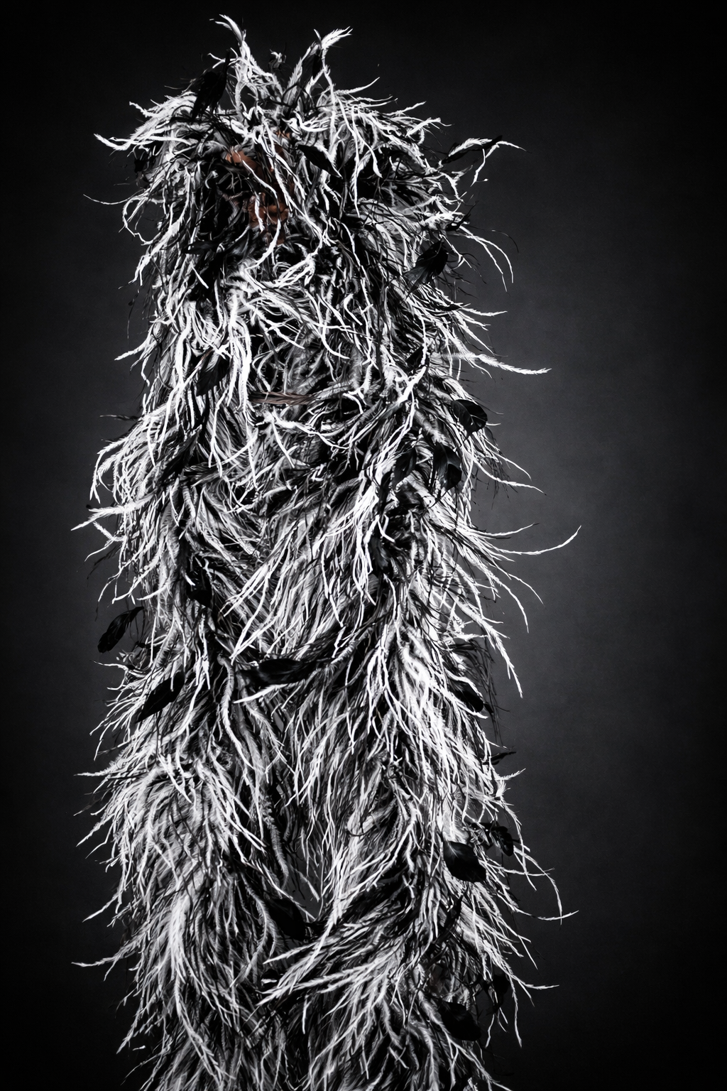 Premium ostrich feather boas