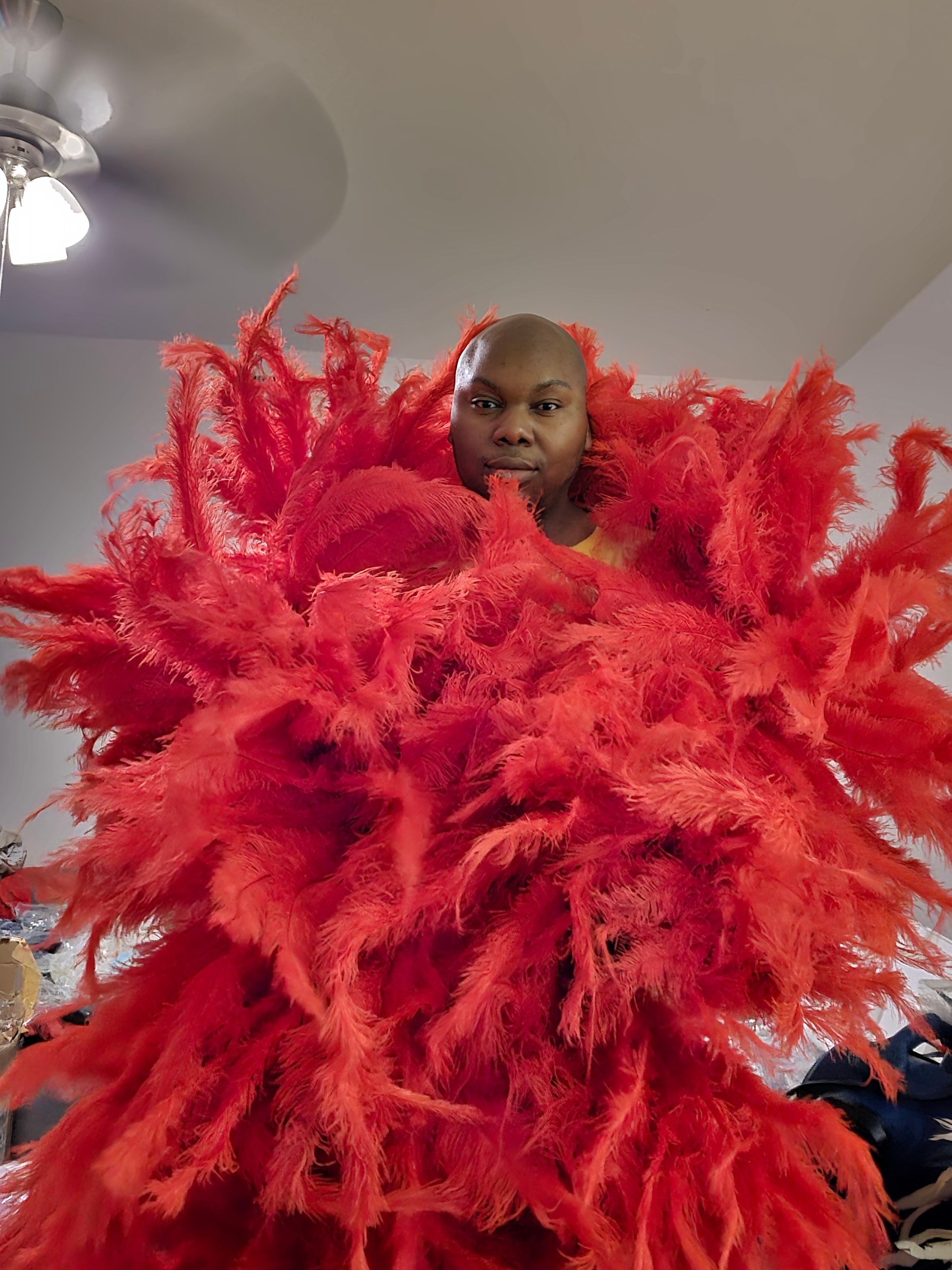 Full ostrich Plume Boas