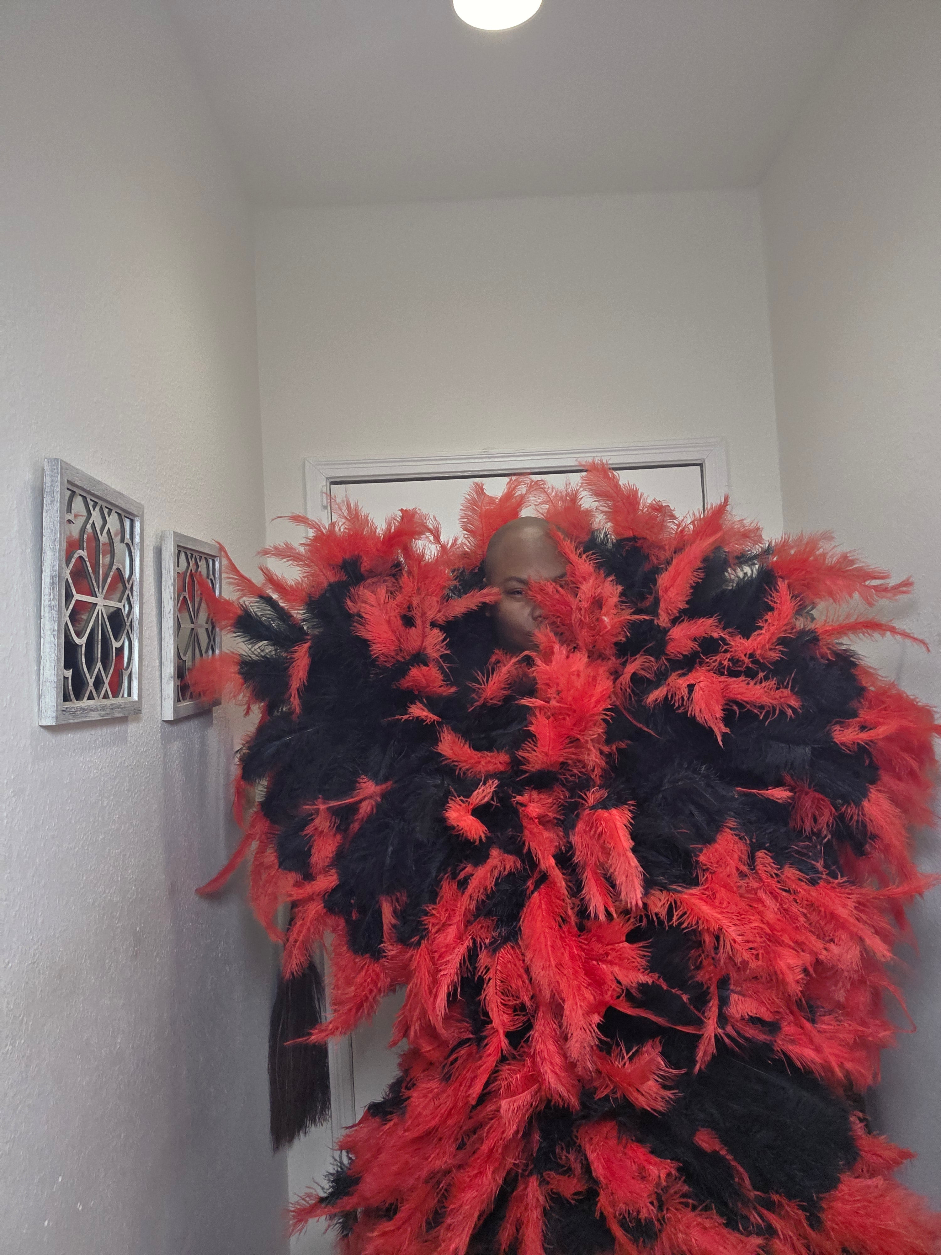Full ostrich Plume Boas