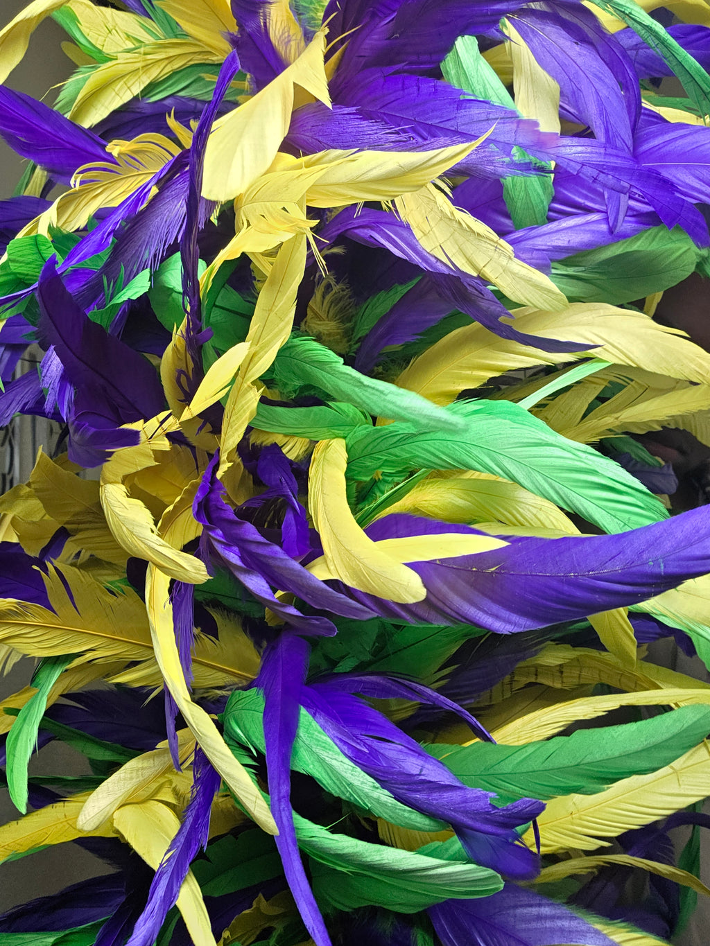 Coque Feather Boas