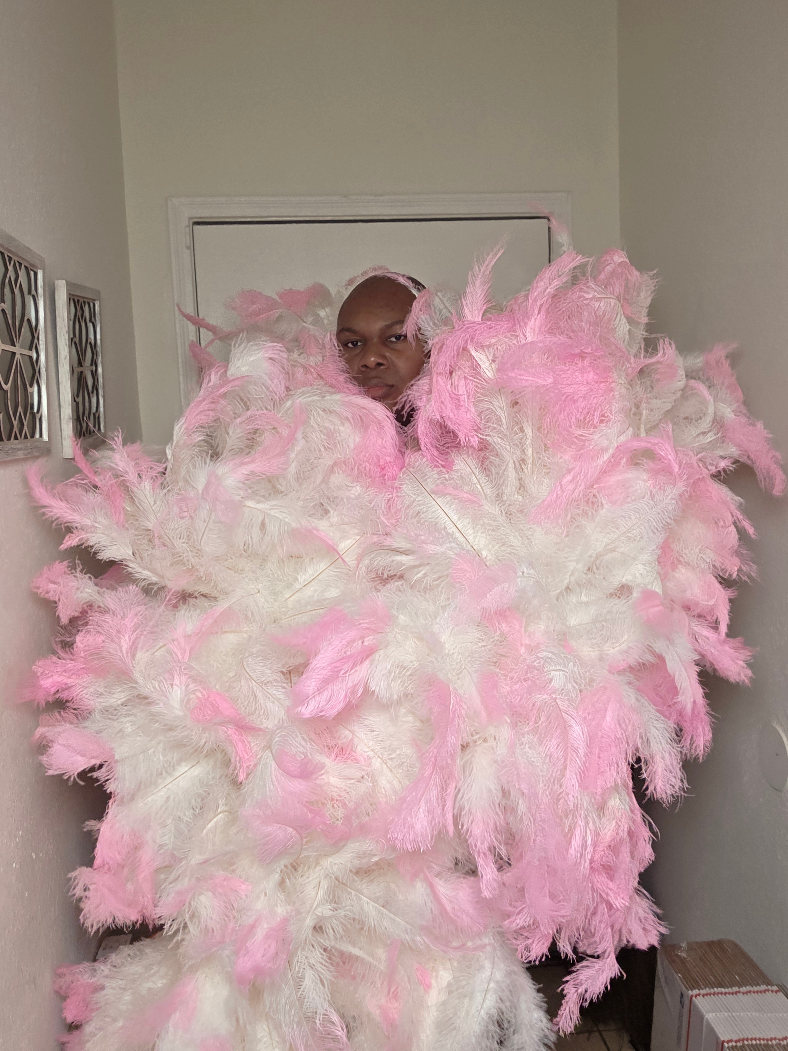 Full ostrich Plume Boas