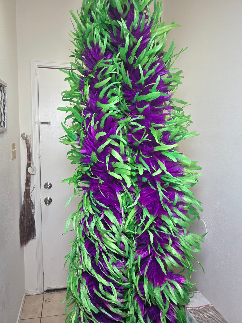 Coque Feather Boas