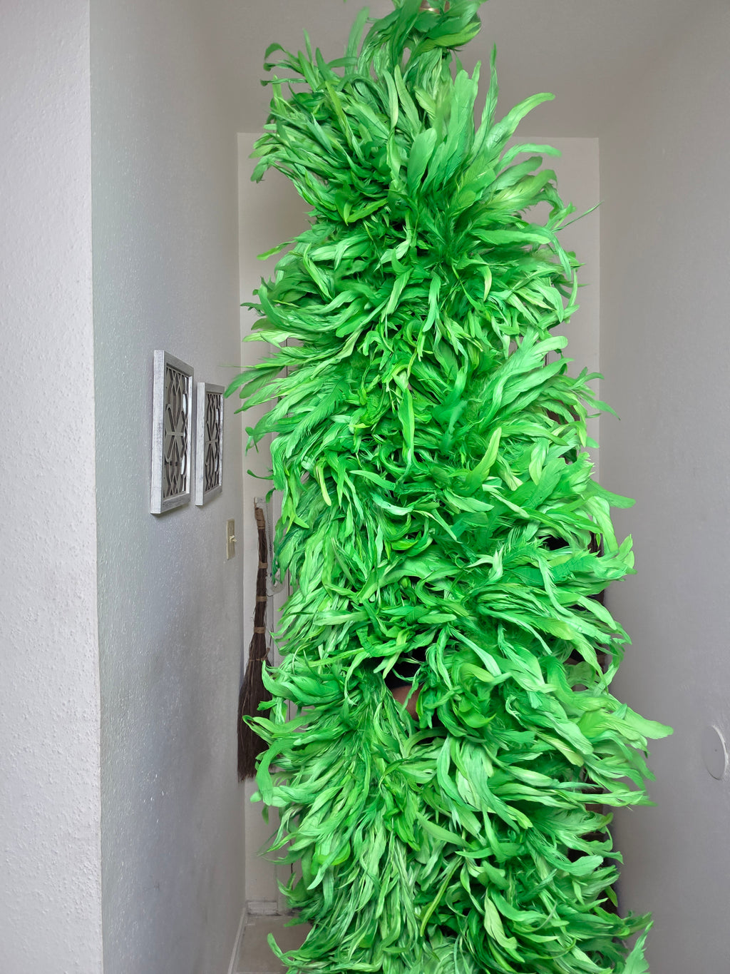 Coque Feather Boas