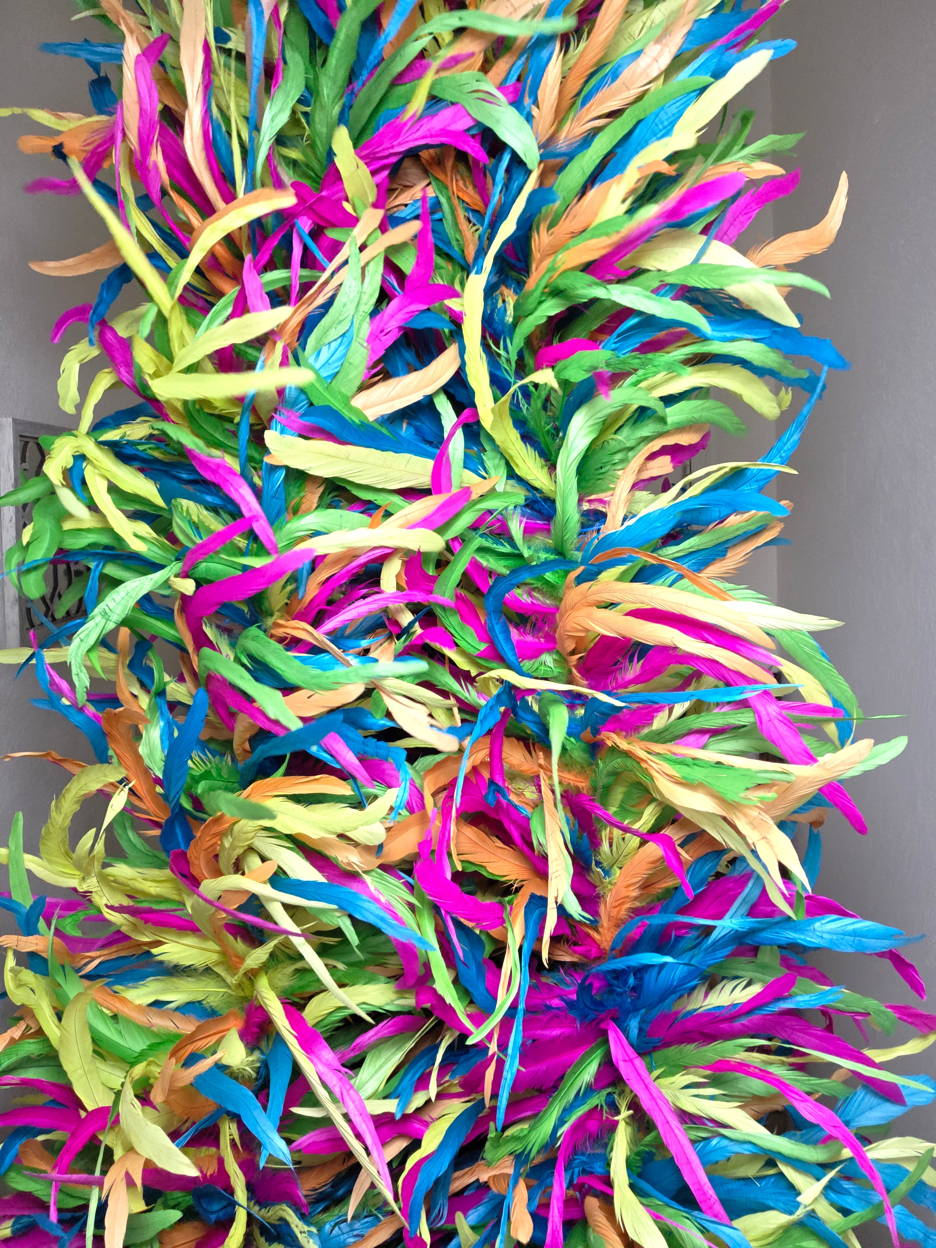 Coque Feather Boas