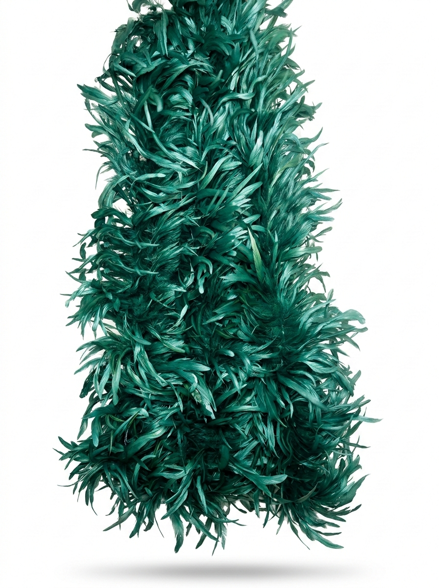 Coque Feather Boas