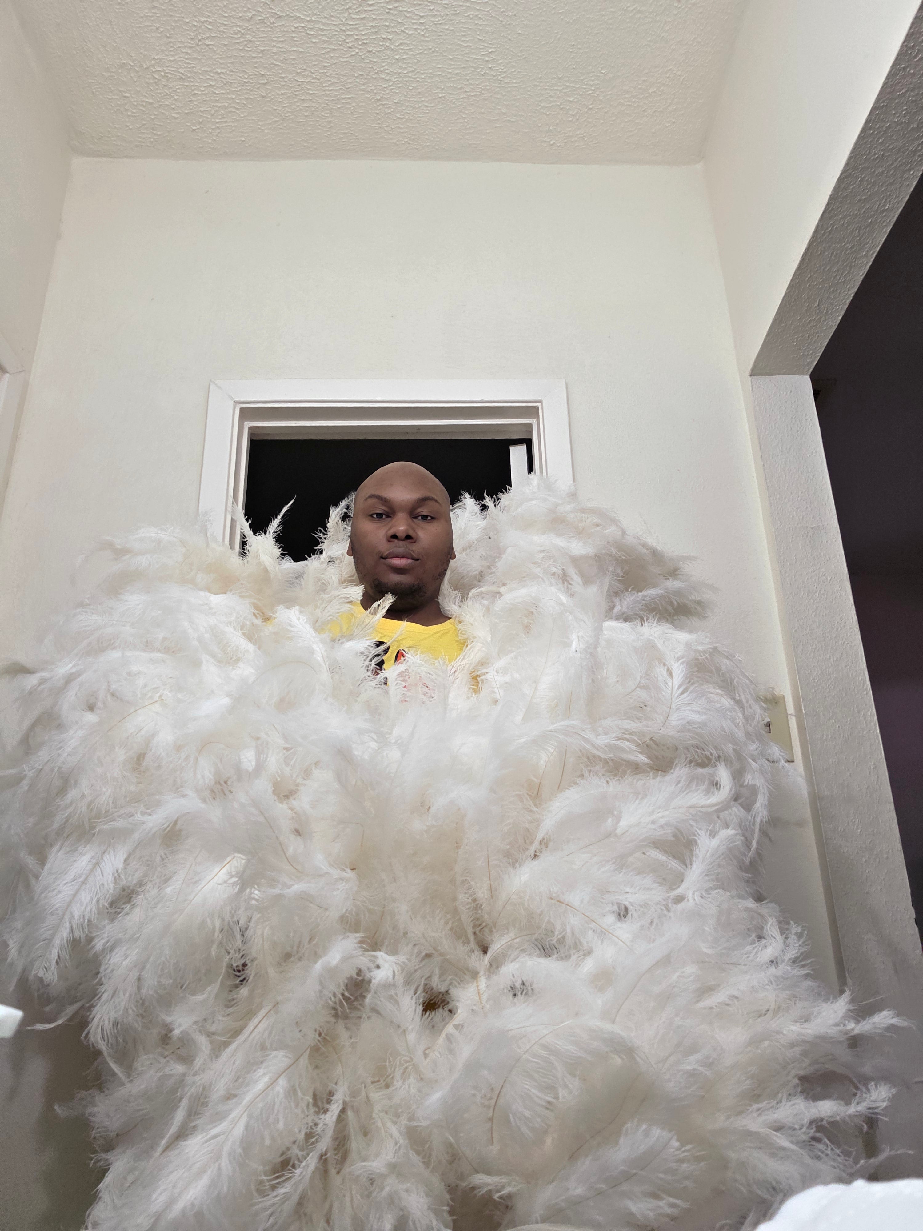 Full ostrich Plume Boas