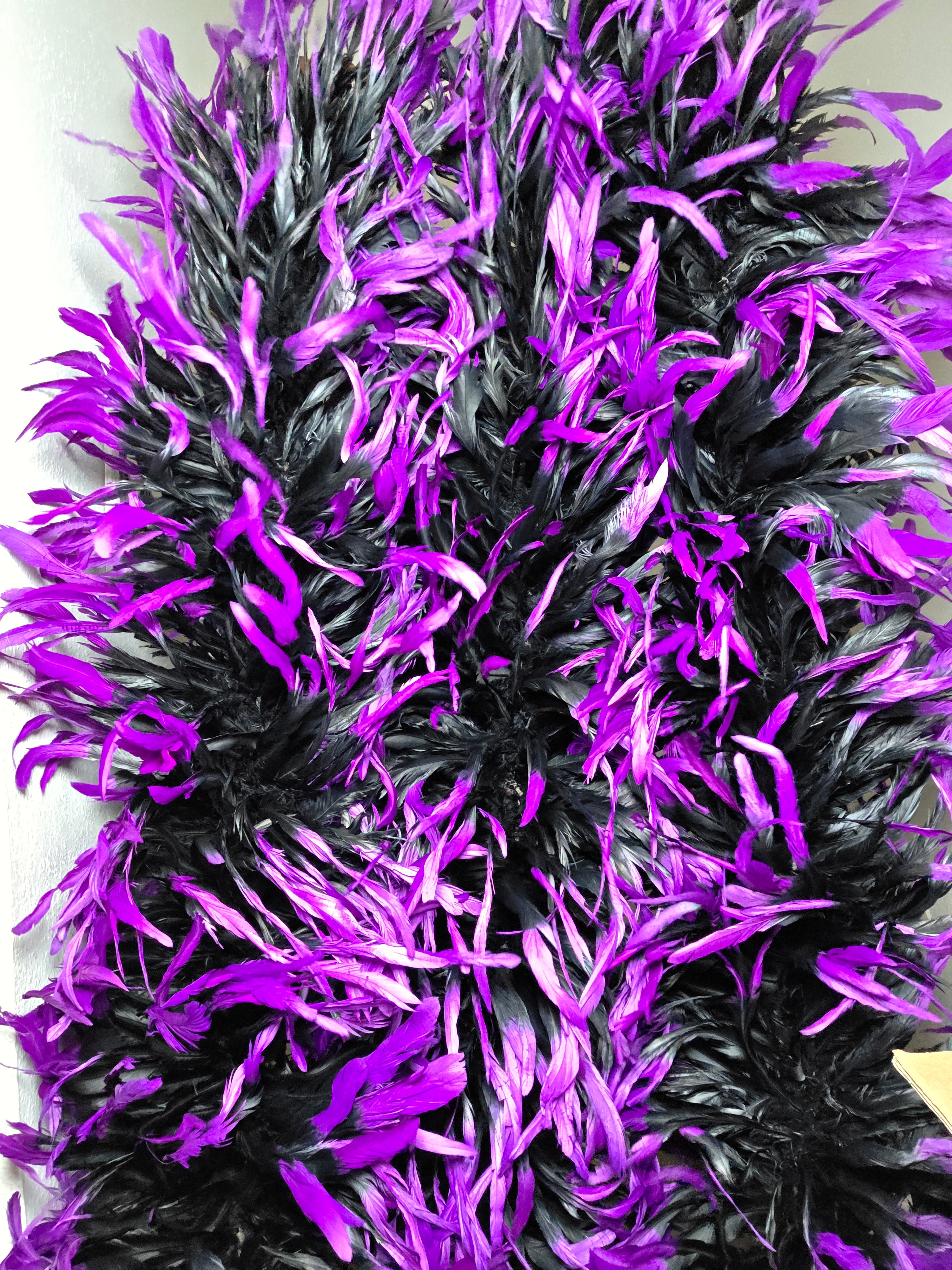 Coque Feather Boas